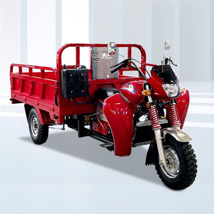 Motorized Cargo Powered Gasoline Three Wheel Cargo