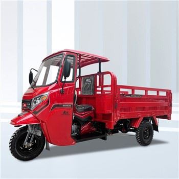 Carga Tricycle Motorisé
