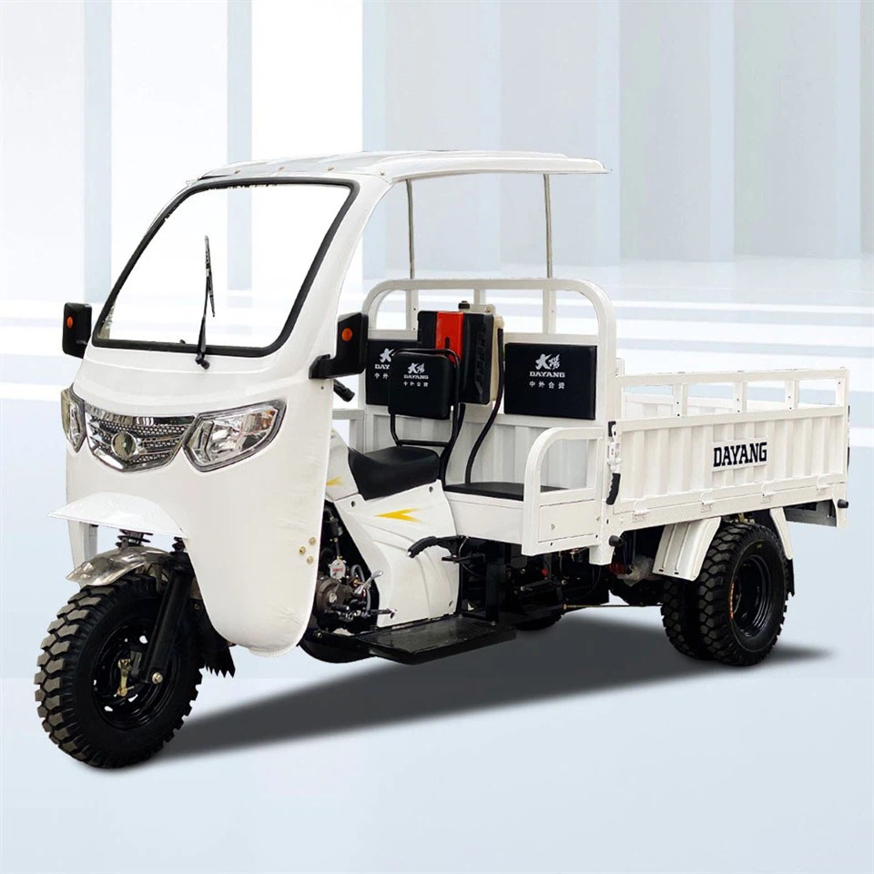 2022 New Style 3 Wheel Tricycle Gasoline Motorcycle