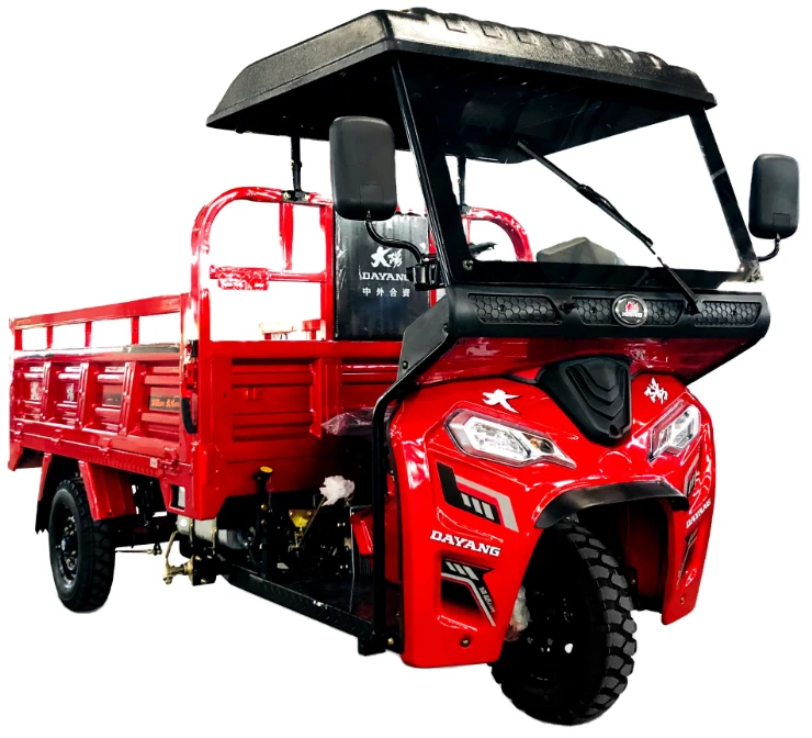 DAYANG 3 Wheel Cheap Famer Cargo Επιβατικό Τρίκυκλο
