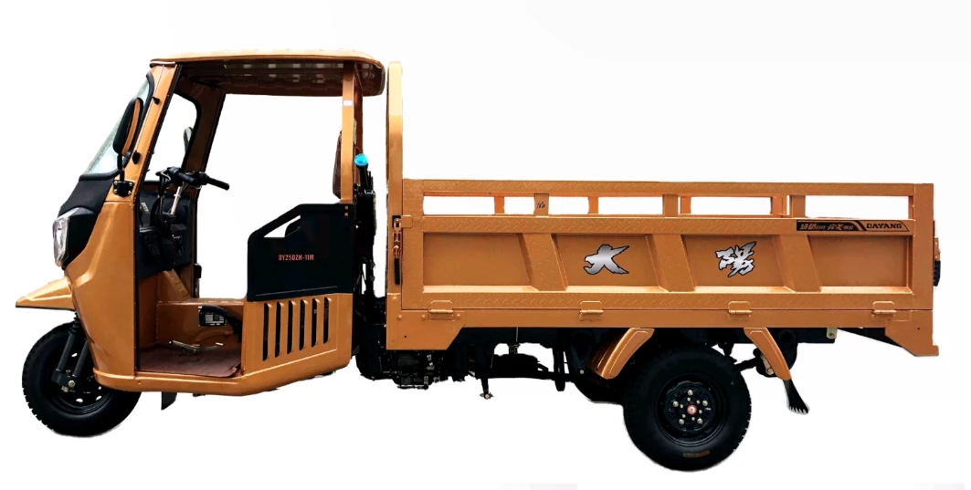 Dayang Well Sell Semi Cargo Τρίκυκλο Τρίκυκλο Τρίκυκλο Motorized 201--250cc 2021 Hydraulic 3500*1400*1600