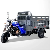 Τρίκυκλη μοτοσυκλέτα τύπου Flat Plate 150cc