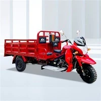 Τρίκυκλο βενζίνης Cargo 300cc