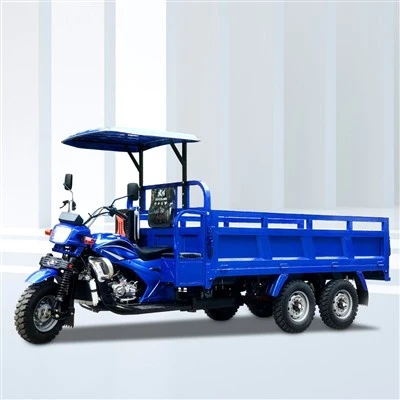 350cc βενζίνη τριών τροχών κινητήρα
